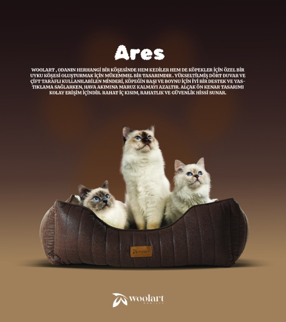 Ares