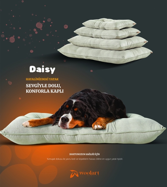 Daisy