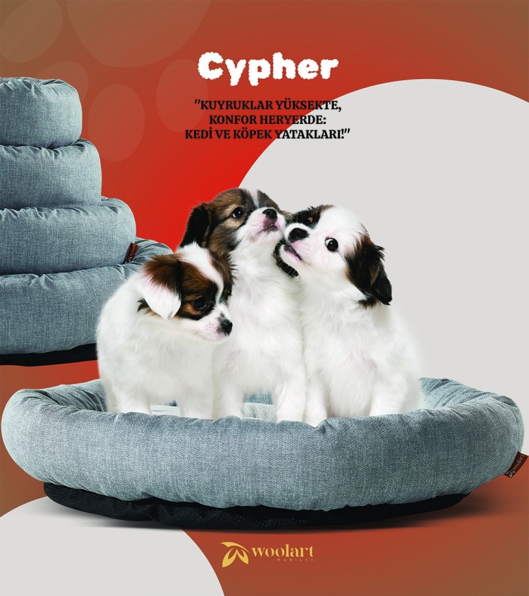 Cypher